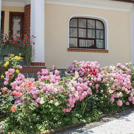 Gasthuis Topciu Pogradec