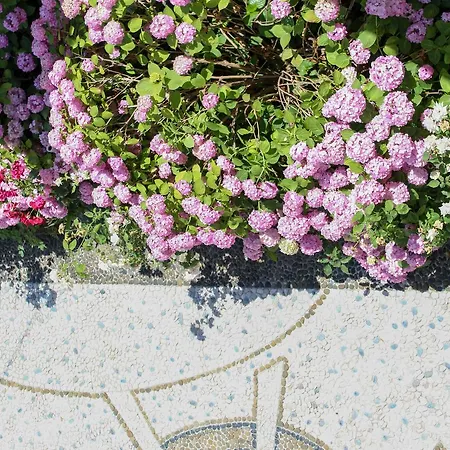 Topciu Gæstehus Pogradec