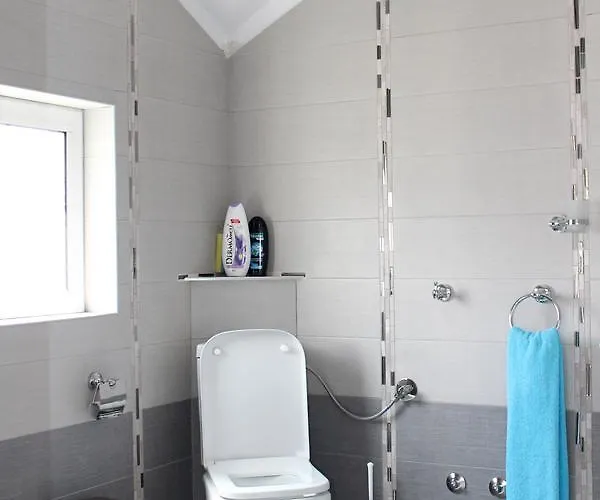 招待所 Topciu 波格拉德茨